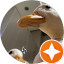 Pokoru profile picture